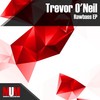 Truly One (Original Mix) - Trevor O'Neil