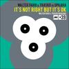 It's Not Right But It's Ok (Walter Fargi & Trasko Main Mix) - Walter Fargi&Trasko&Upkara