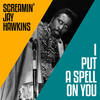 I Put a Spell on You - Screamin' Jay Hawkins and the Leroy Kirkland Orchestra