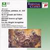 III. [Allegro] - Judith Blegen&Pinchas Zukerman&Mostly Mozart Festival Orchestra&Wolfgang Amadeus Mozart