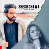 Shesh Chawa - Pabel&Nodi