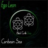 Brazilian Soul - Ego Leon