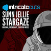 Stargaze (Envotion Remix) - Sunn Jellie&Envotion