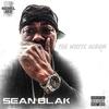 Can't let it (feat. deuce eclipse) (Explicit) - Sean Blak&Deuce Eclipse