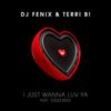 I just wanna luv ya (Radio Edit) - DJ Fenix&Terri B!