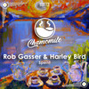Spent - Rob Gasser&Harley Bird