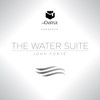 Hanging on the Surface - John Forte
