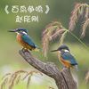百鸟争鸣 - 赵彤刚