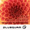 The Time That We've Been Wasting - NASA&Multiphase