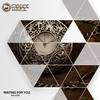 Waiting For You (Original Mix) - Saladin