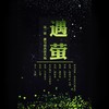 遇萤 - 陈拾月（只有影子）