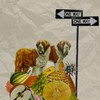 Either Way - OJ Mountain&purpan