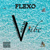 Ain't My Vibe (Explicit) - Flexo