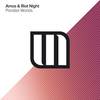 Parallel Worlds (Original Mix) - Amos & Riot Night