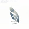 Opera House (Original Mix) - Antony Waldhorn
