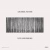 Pleyel (Afro Piano Mix) - Luke Garcia&Th3 Oth3r