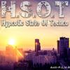 H.S.O.T (Hypnotic State of Techno) (Original Mix) - Anti-P.L.U.R