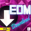 Looking For Love (Mike Perry Remix) - Nilson&The 8th Note&Fenja