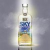 Sky High - Meek