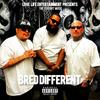 Bred Different (feat. JokesLovesLife) (Explicit) - IAMRICH&JOKESLOVESLIFE