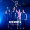 Eimol im Johr - Hedgehog