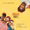 BAGGY VIBES - Dj slimbaggy&Lysense Slim&Sean Dice&Shakz