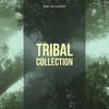 Believer (Afro Carrib Mix) - Alan De Laniere