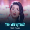 Tình Yêu Vụt Mất - Triệu Trang&Bằng Cường