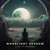 Moonlight Shadow (feat. Mirkka) - VIIO&Mirkka