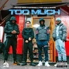 Too Much (Explicit) - Private Zero&Kayem2x&Shadz&YSK&Triple01s