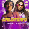 CALOTEIRO - King Saints&MC Danny