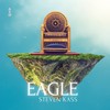 Eagle - Steven Kass