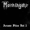 Bloodstained Cassettes - Morningstvr