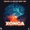 Xonga (feat. 9umba) (Original Mix) - Afrikan Roots&Dj Jive&Vincent Methe Musique&9umba