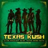 Texas Kush (feat. Mr. Blacc Sheep, Ras I-Dre, Fyah Sthar, Kroywen, Soulfiya ) - Sgt. Remo&Mr. Blacc Sheep&Ras I-Dre&Fyah Sthar&Kroywen&Soulfiya&Kutral Dub