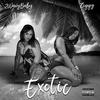 Exotic (Explicit) - 2wavybaby&Ziggy