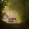 No White Noise - Raymond Smith