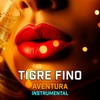 Aventura (Instrumental) - Tigre Fino