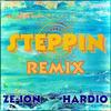 Steppin Remix - Ze-Ion&Hardio