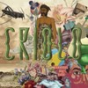 Plano de Voo - Criolo&Síntese