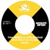 Wild Wind That Blows (Remix|Explicit) - Tha 4orce&Cyclonious