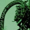 Rollercoaster (Explicit) - NTF Sean