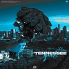 Tennessee Girl (Explicit) - Flexo