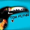 Catch That Bird (Original Mix) - Tom Flynn