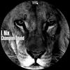 Champion Sound - L NIX