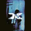 X (Explicit) - Trnvk&Uros Trninic&Nikola Susic