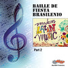Festa Brasilleira, Pt. 2 - Baille de Fiesta Brasilenio&Eric Boom&Wim van der Stelt