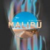 Malibu - Evil Needle&Chromonicci