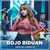 BOJO BIDUAN (Indri Ananda) - NIRWANA COMEBACK