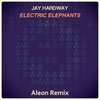 Electric Elephants(Aleon Remix) - Jay Hardway&Aleon